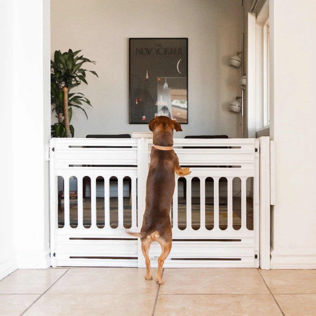 24"-39" Adjustable Indoor Pet Barrier, White - Image 3