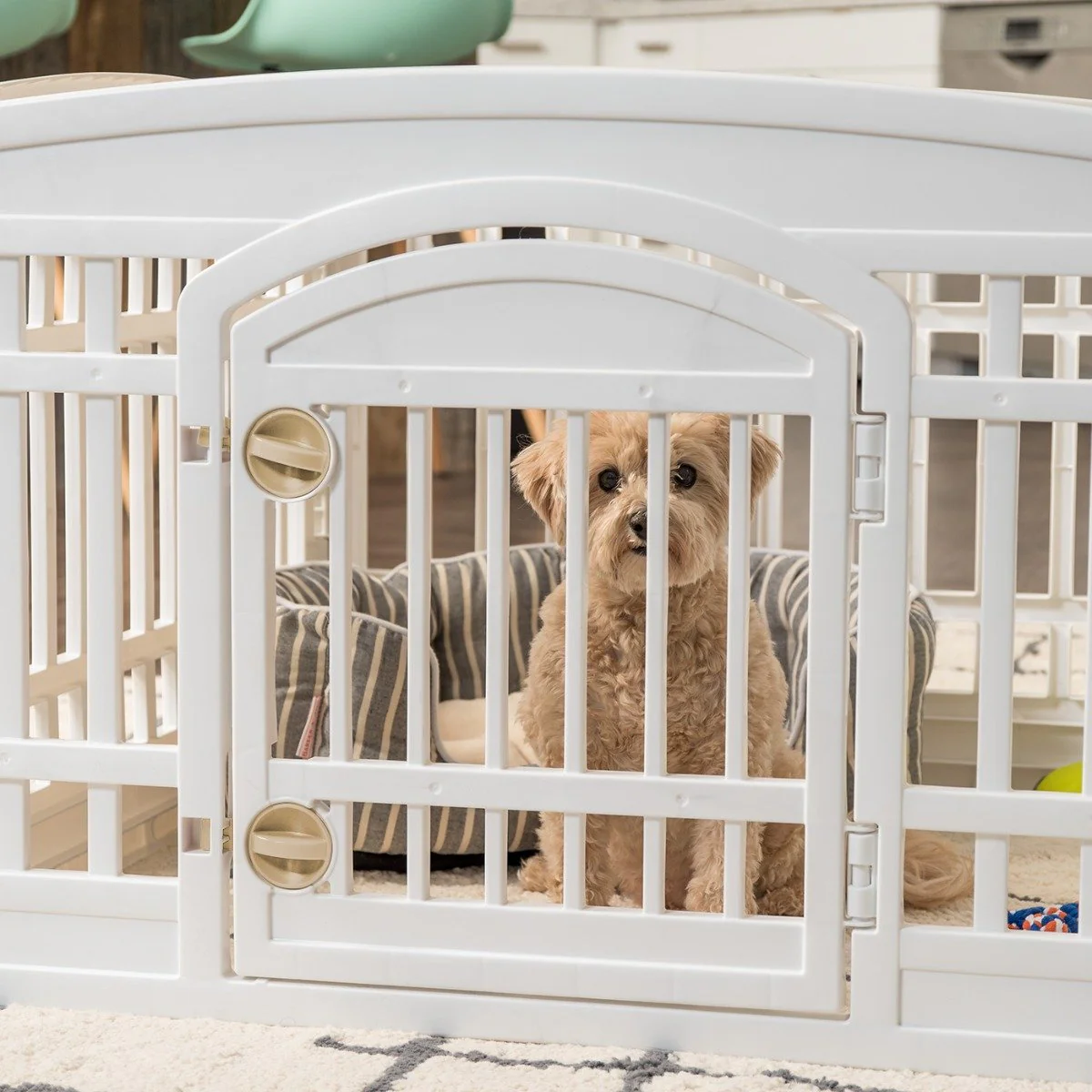 24-inch Pet Plastic Playpen - Image 10