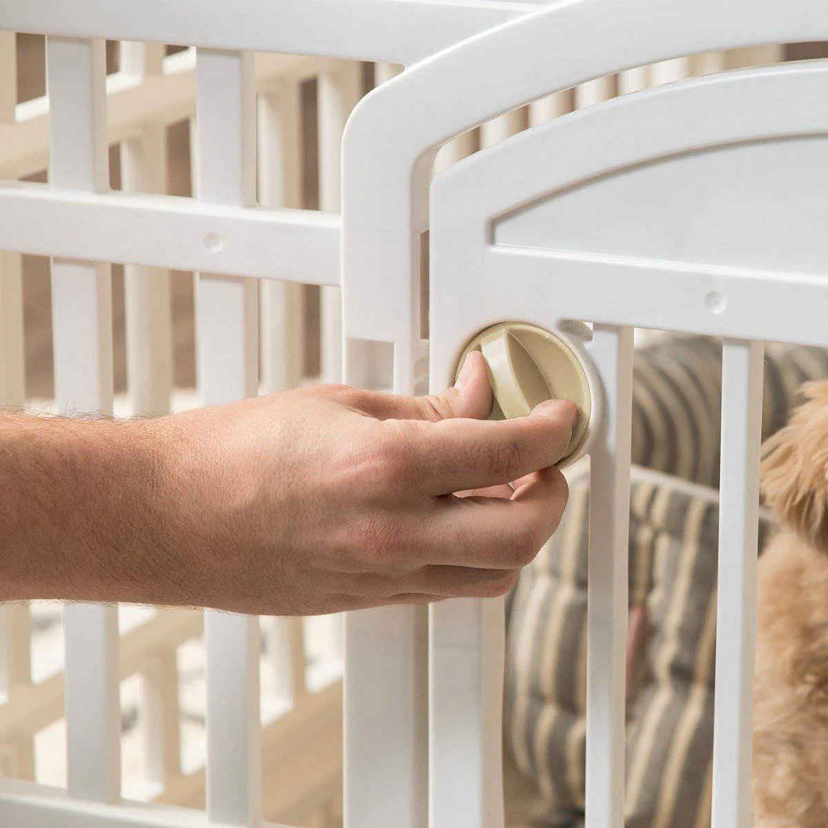 24-inch Pet Plastic Playpen - Image 11