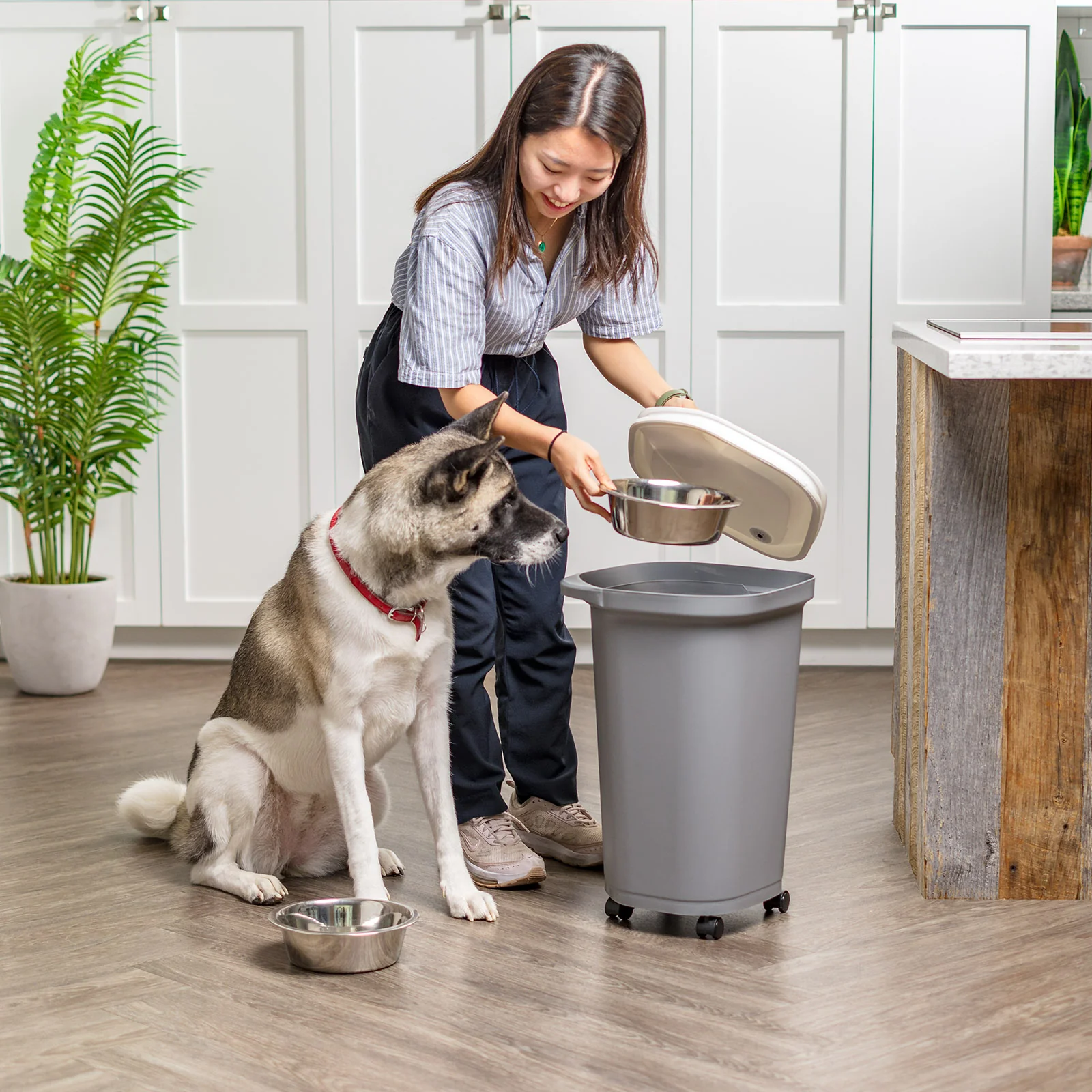 25 Lbs. Airtight Pet Food Container | Dog & Cat Food Storage Bin - Image 3