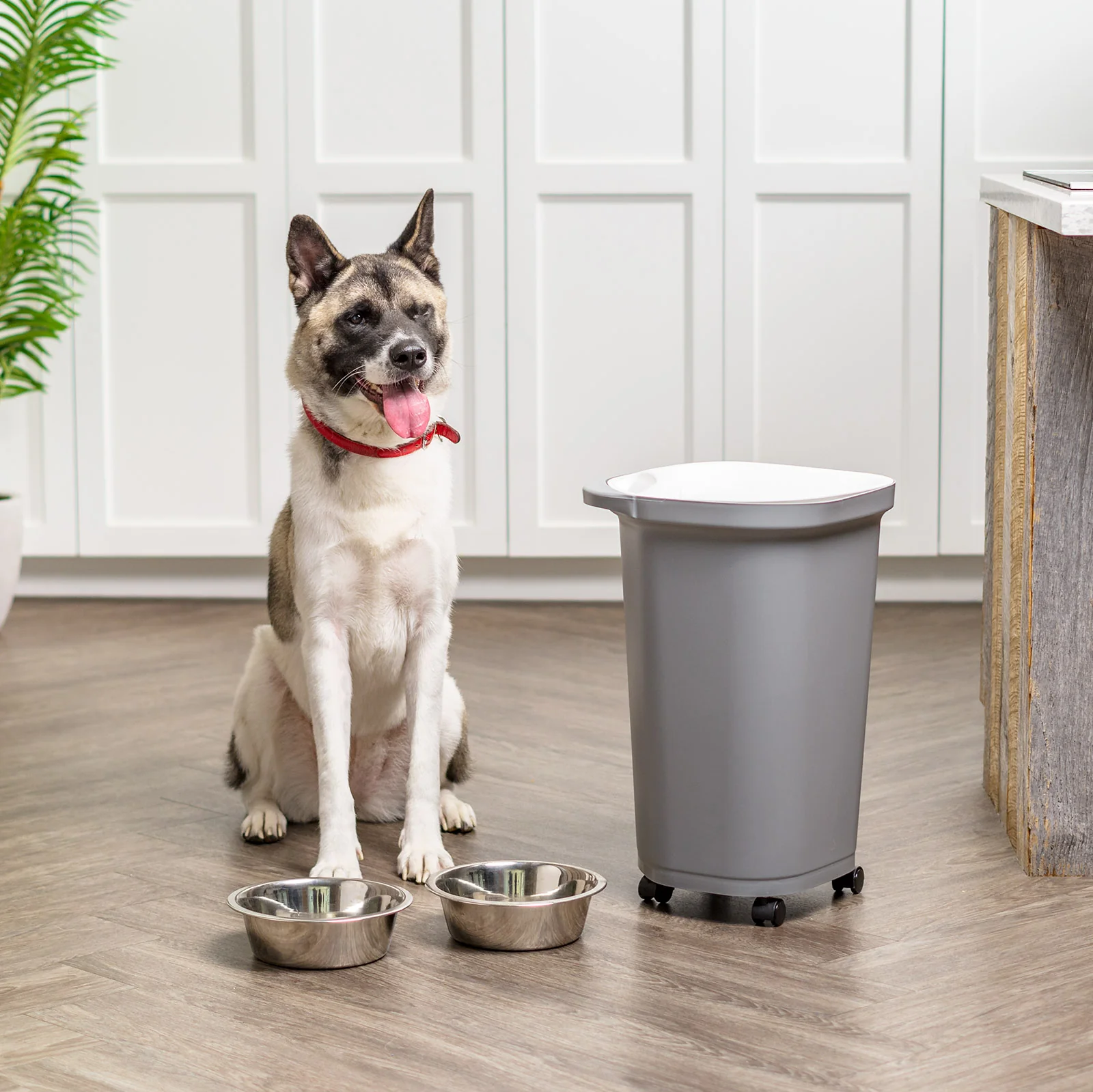 25 Lbs. Airtight Pet Food Container | Dog & Cat Food Storage Bin - Image 4