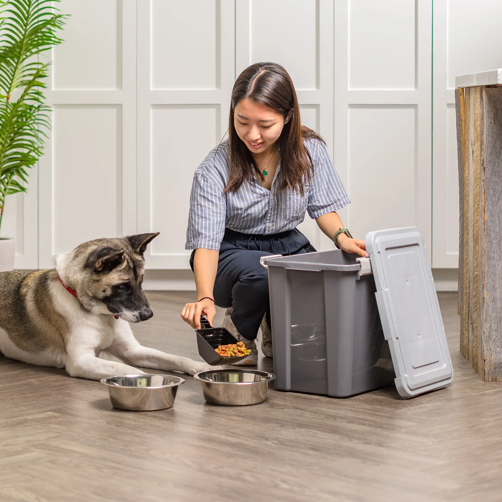 30 Lbs. Airtight Pet Food Container | Dog & Cat Food Storage Bin with Scoop - Image 3