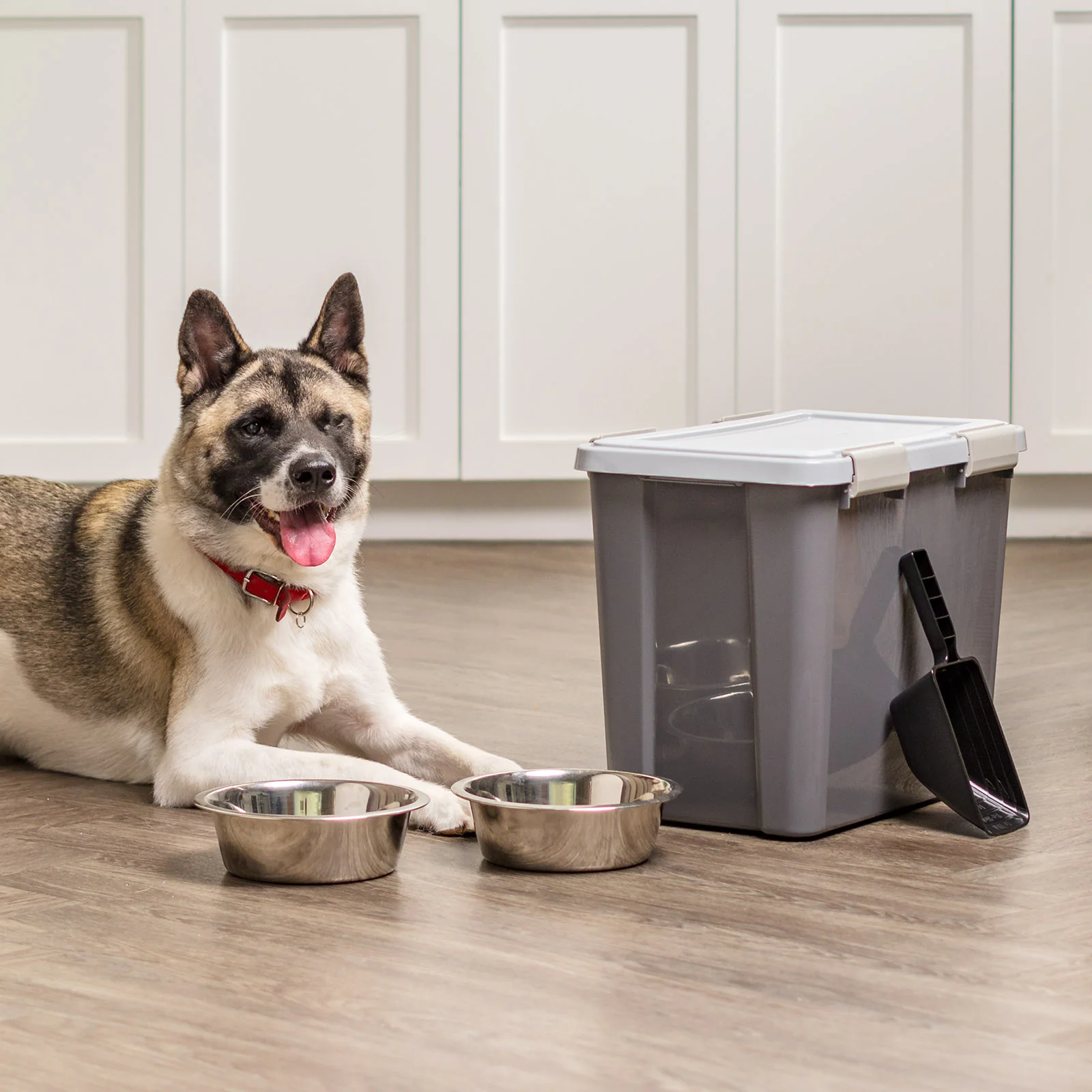 30 Lbs. Airtight Pet Food Container | Dog & Cat Food Storage Bin with Scoop - Image 4
