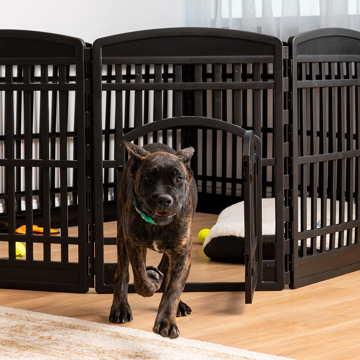 35" 10 Panel Exercise Pet Playpen with Door for Dog, Black - Image 3