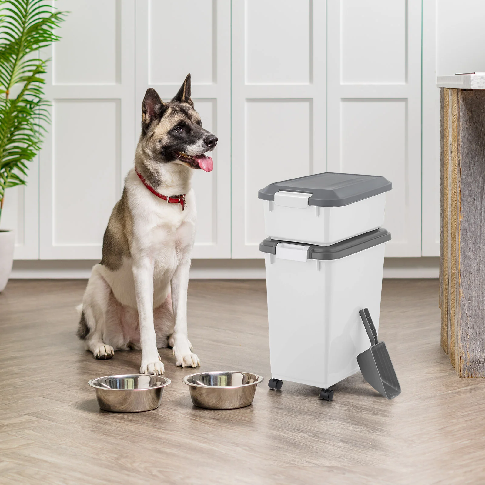41 Lbs. Airtight Pet Food Container | Dog & Cat Food Storage Bin | Treat Box with Scoop - Image 2