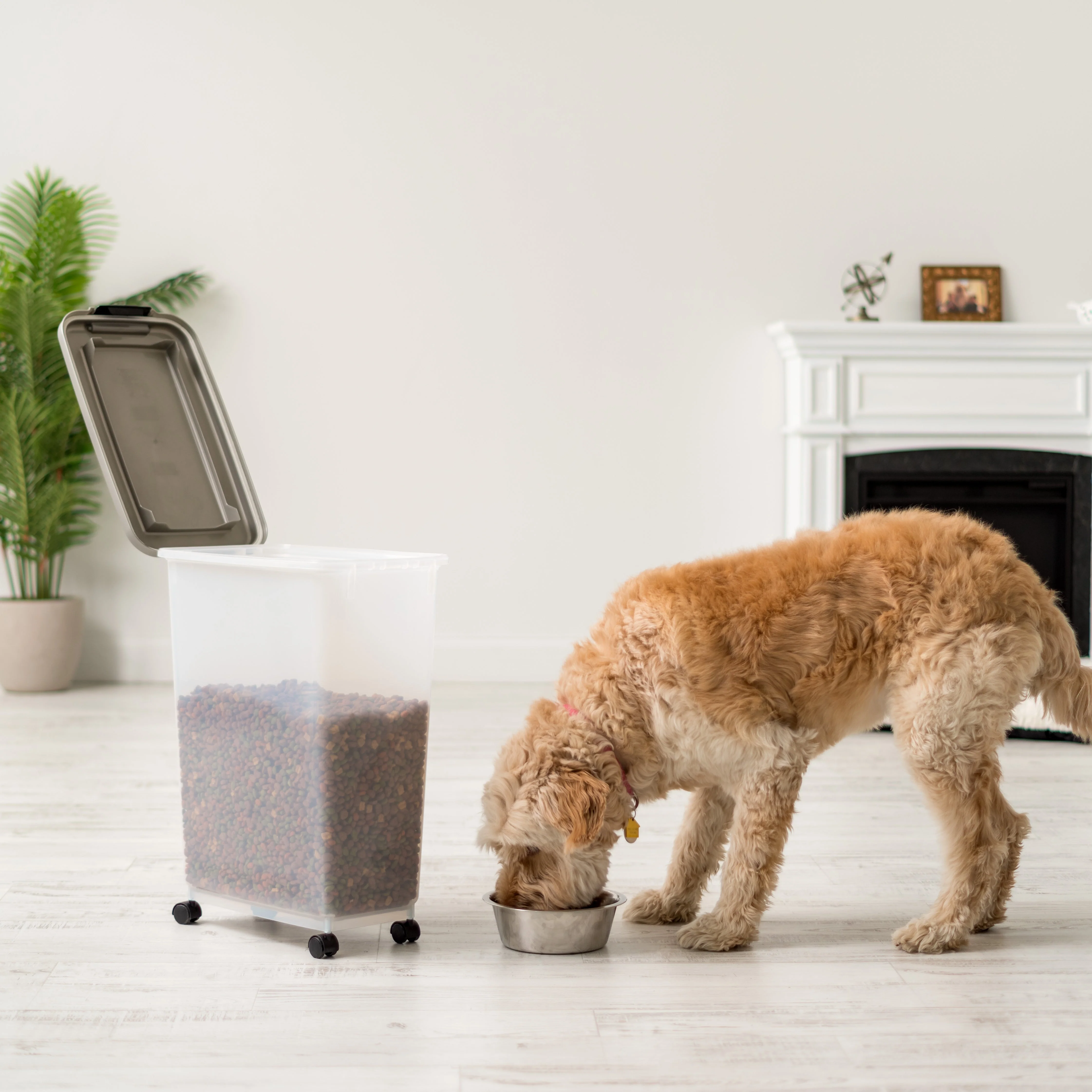 47 Quart WeatherPro® Airtight Pet Food Container, Chrome - Image 2