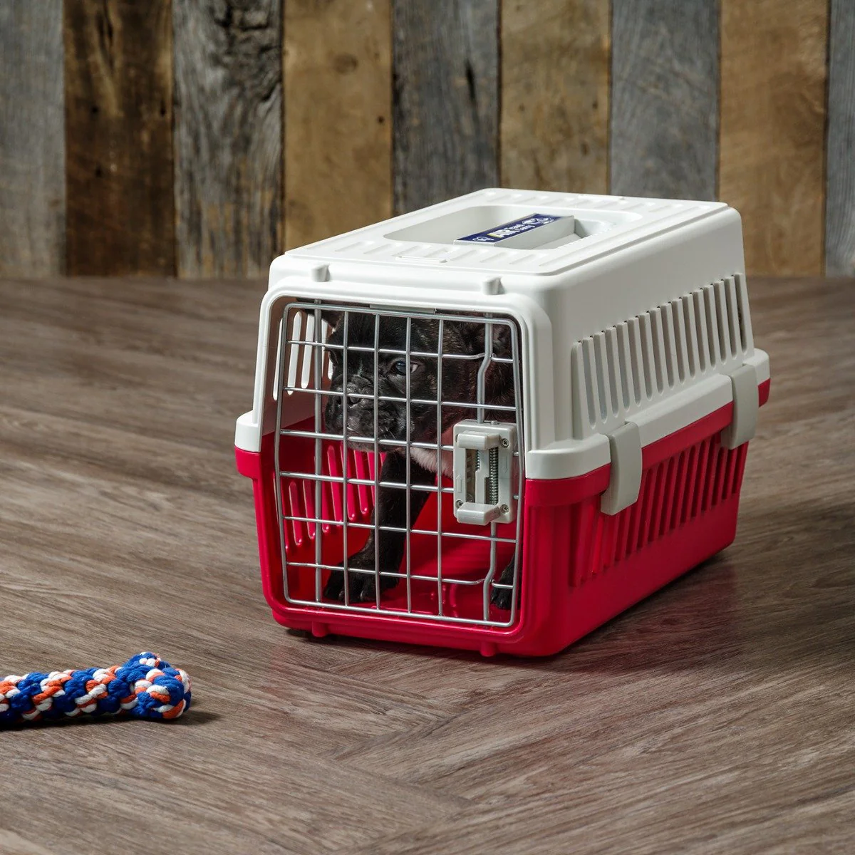 Air Travel carrier - Extra Small - Image 2