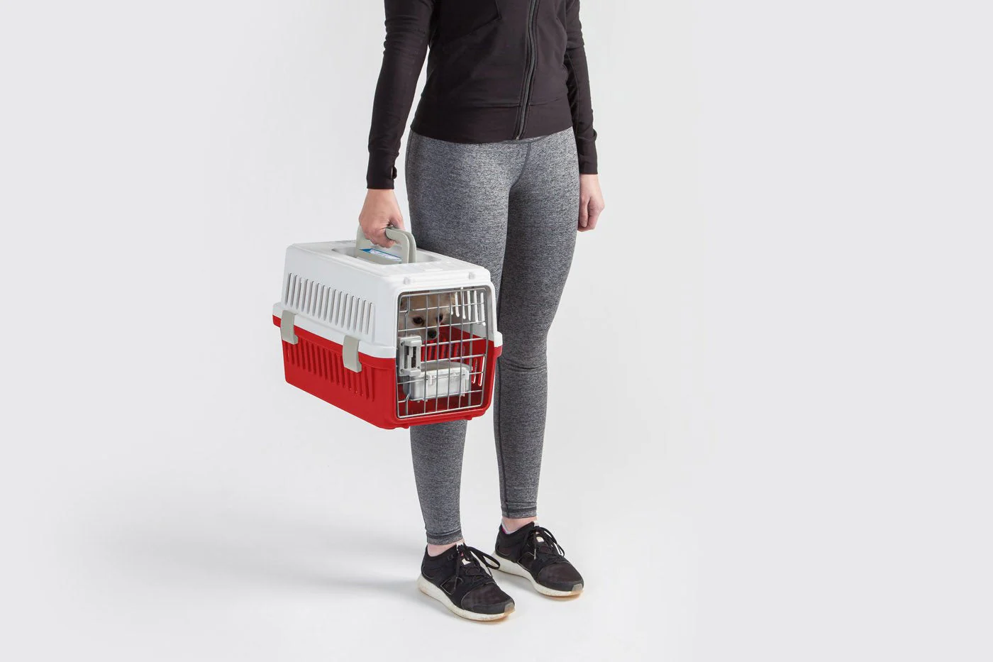 Air Travel carrier - Extra Small - Image 9