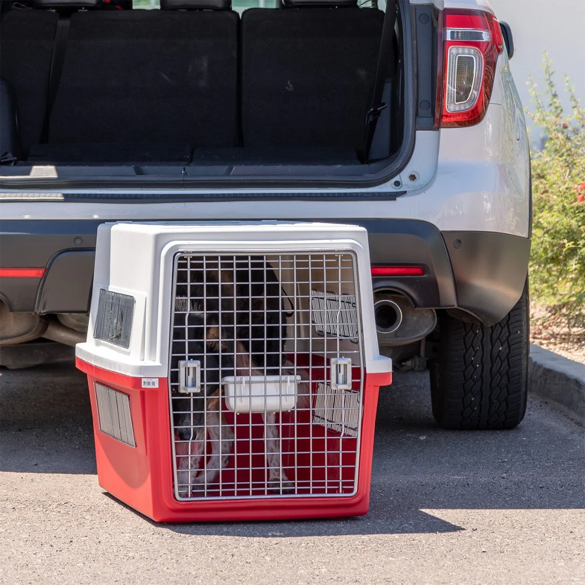 Air Travel carrier - Large - Image 4