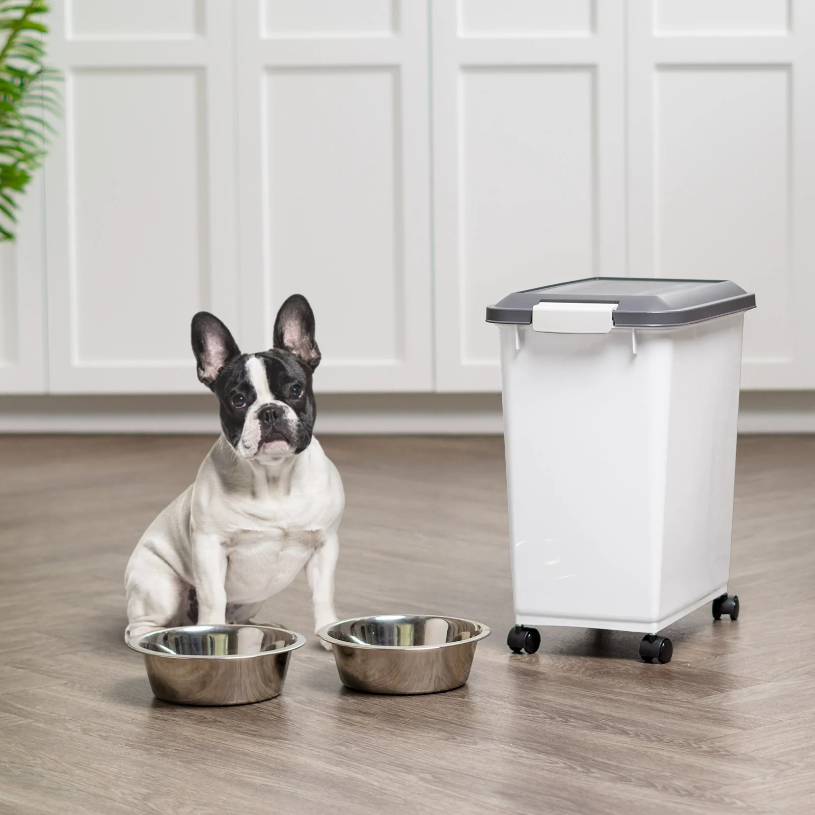 Airtight Dog & Cat Food Storage Container with Casters & Scoop, Gray, 30-lbs - Image 2