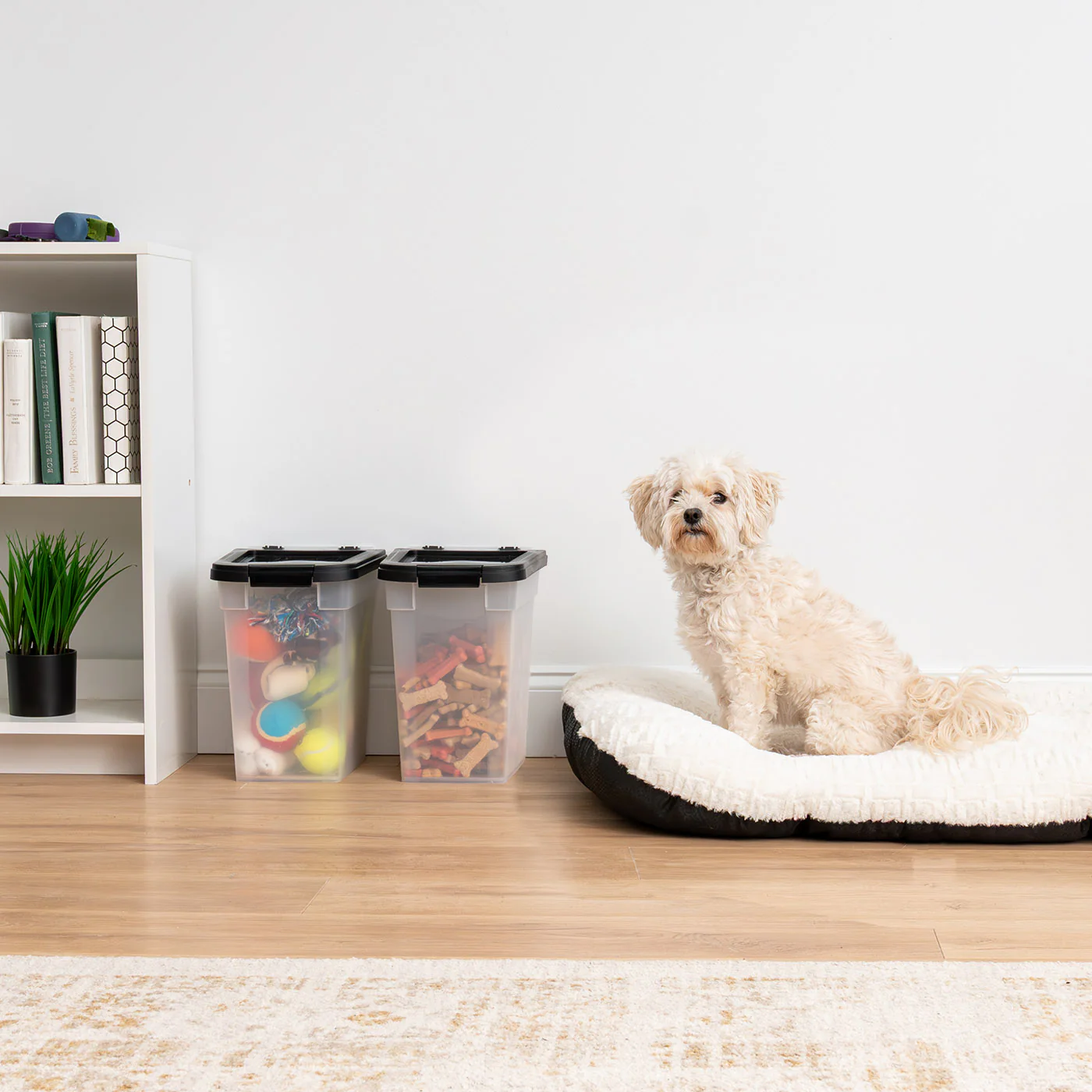 Airtight Dog Food Storage Container 2 pack, Up to 10 lbs - Image 7