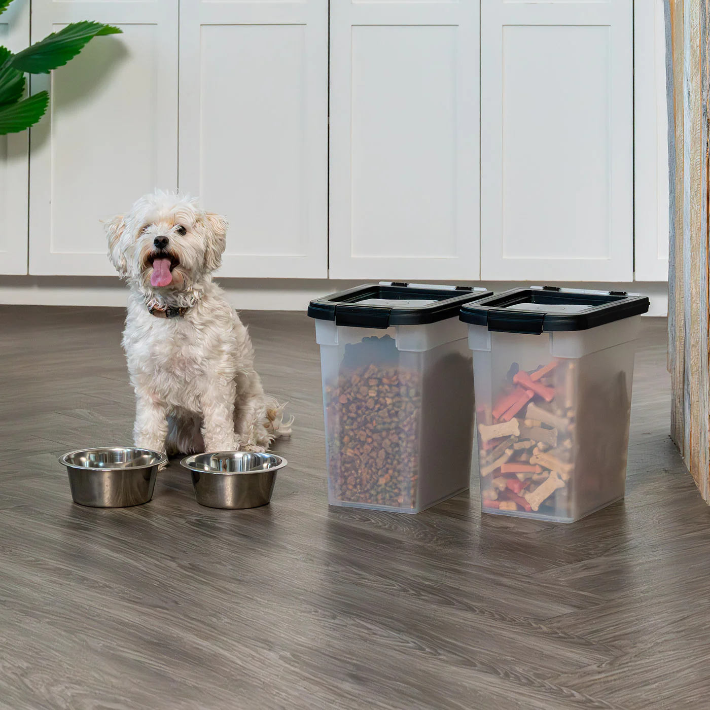 Airtight Dog Food Storage Container 2 pack, Up to 10 lbs - Image 8