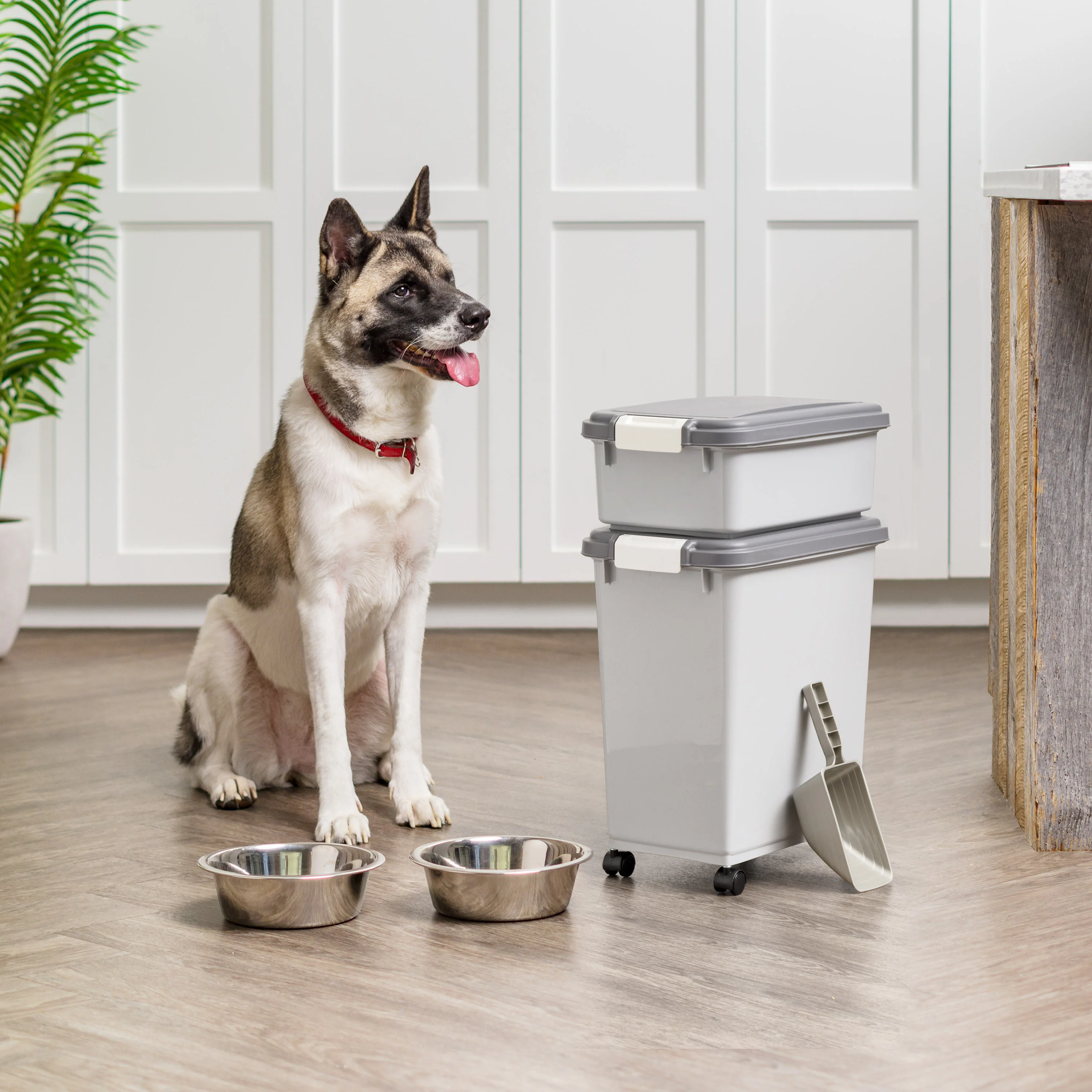 Airtight Dog Food Storage Container with Wheels, Up to 30 lbs & 11 lbs, 2-Cup Scoop, Cat Dog Treat Wet Food Cans Toys Storage Container, Stackable, Portable, Gray - Image 3
