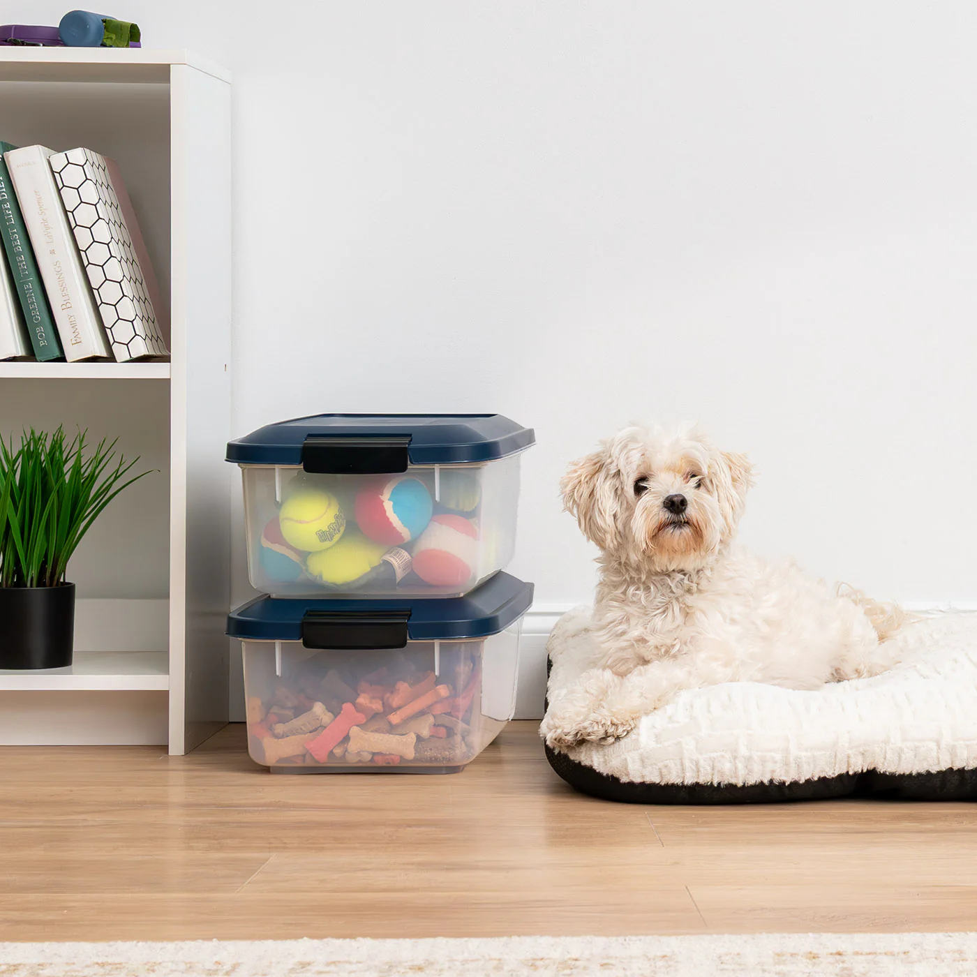 Airtight Stackable Pet Food Storage Container Up to 14 lbs with a Scoop, 2 Pack - Image 9