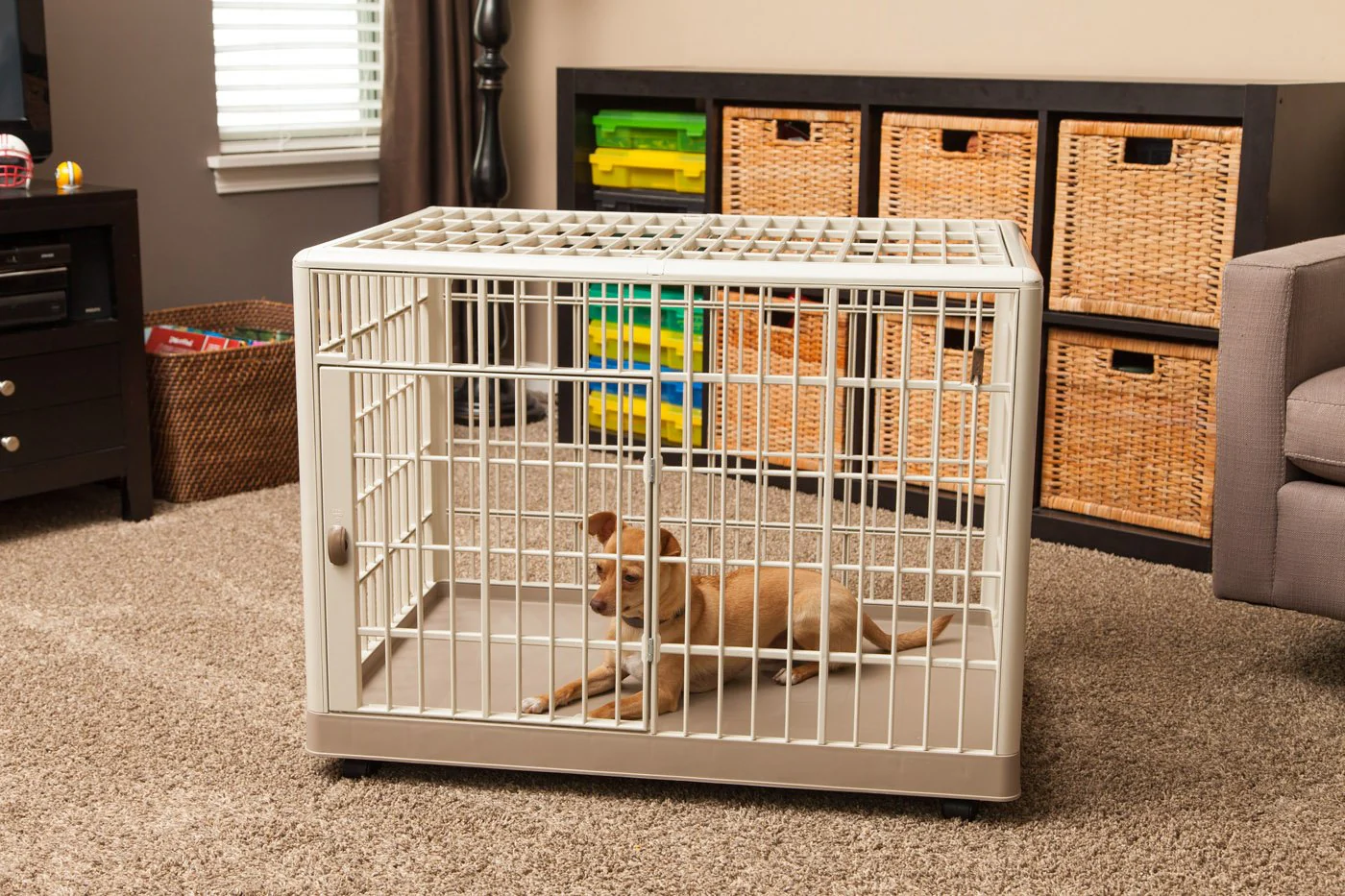 Animal Cage and Condo - Extra Small - Image 7