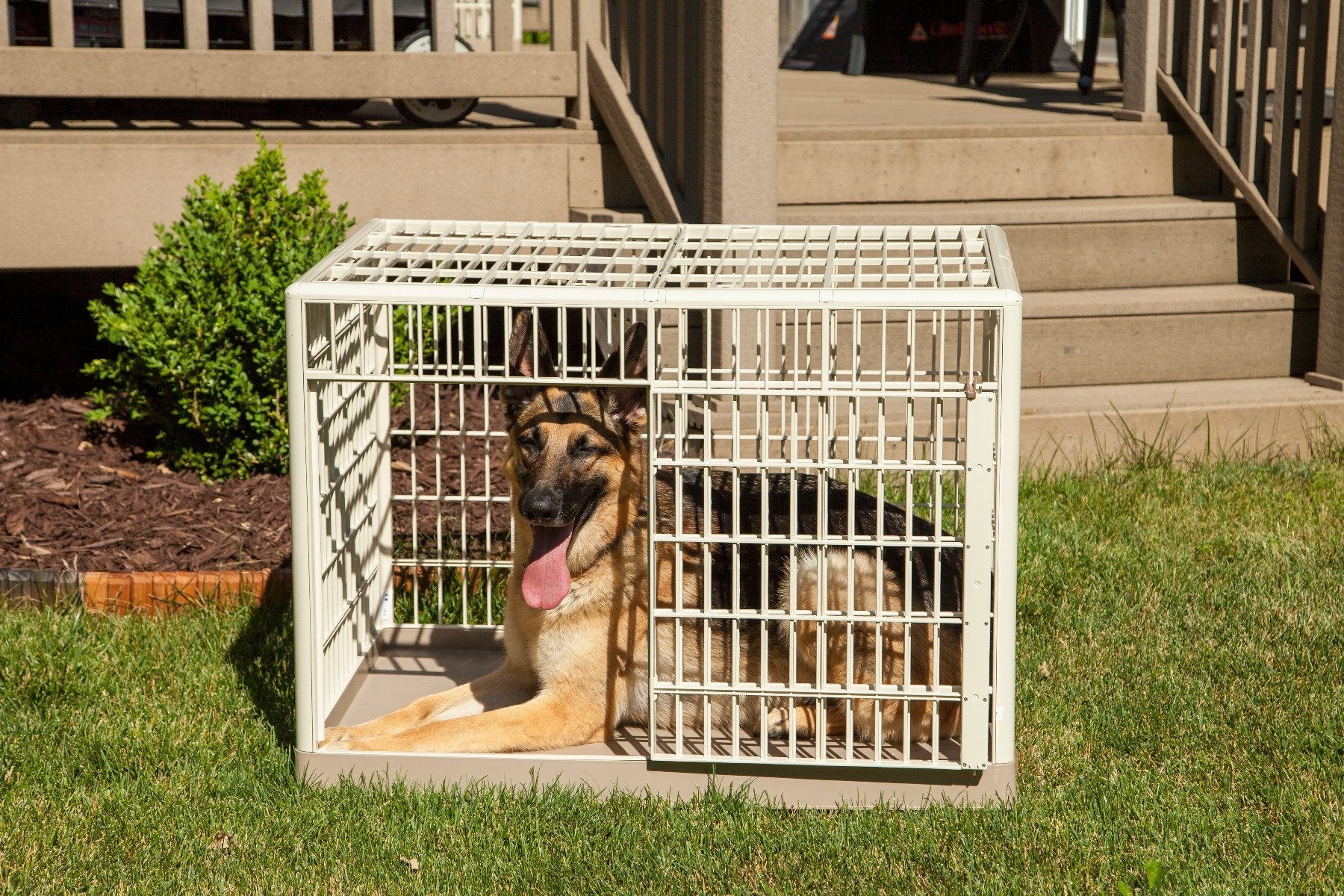 Animal Cage and Condo - Small - Image 10