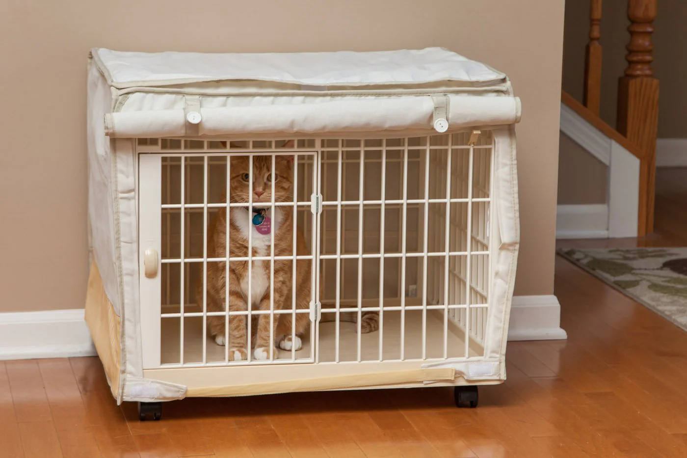 Animal Cage with Canvas Cover - Extra Small - Image 3