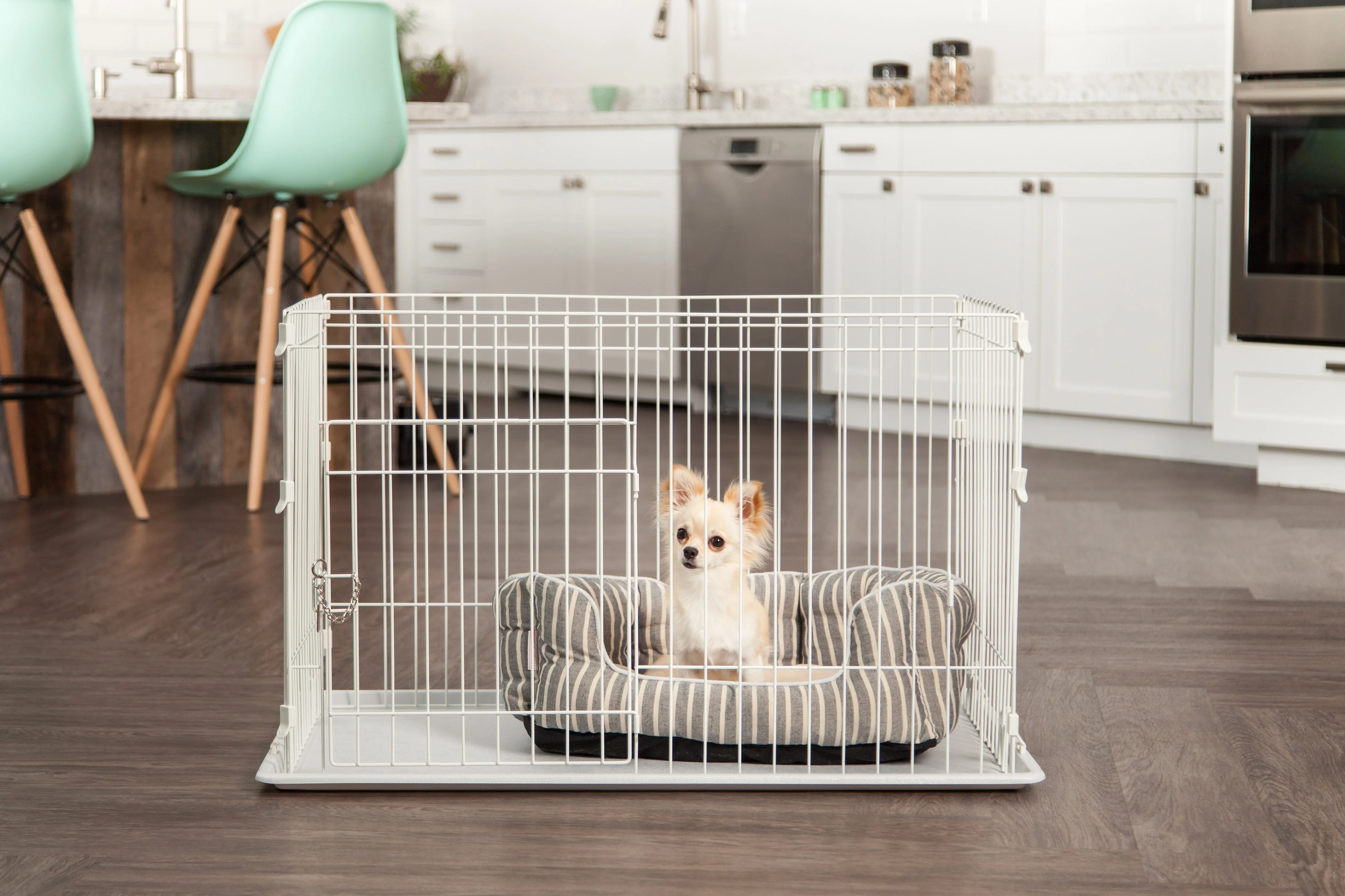 Animal Wire Cage - Medium - Image 9