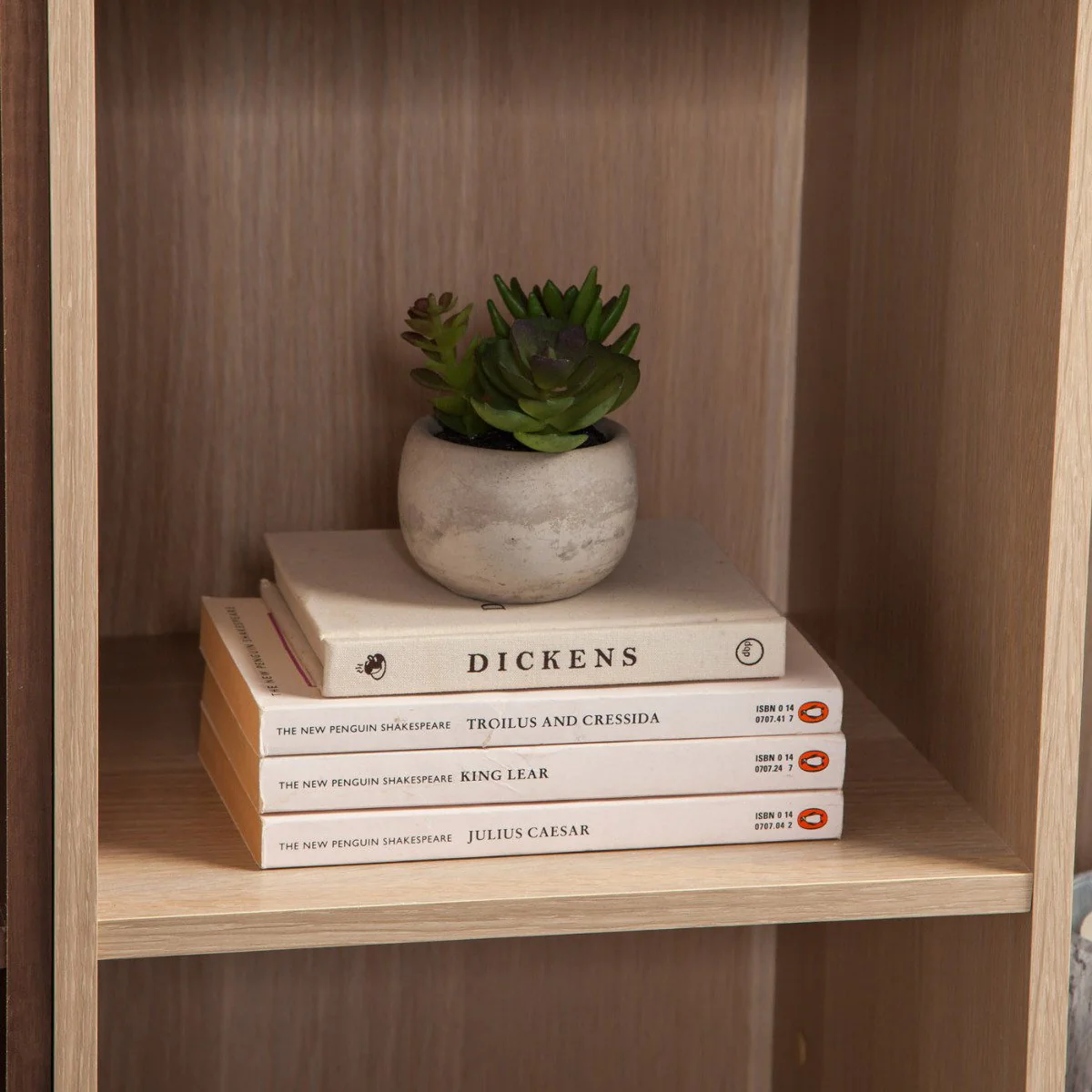 Bookcase Storage Shelf - Image 28