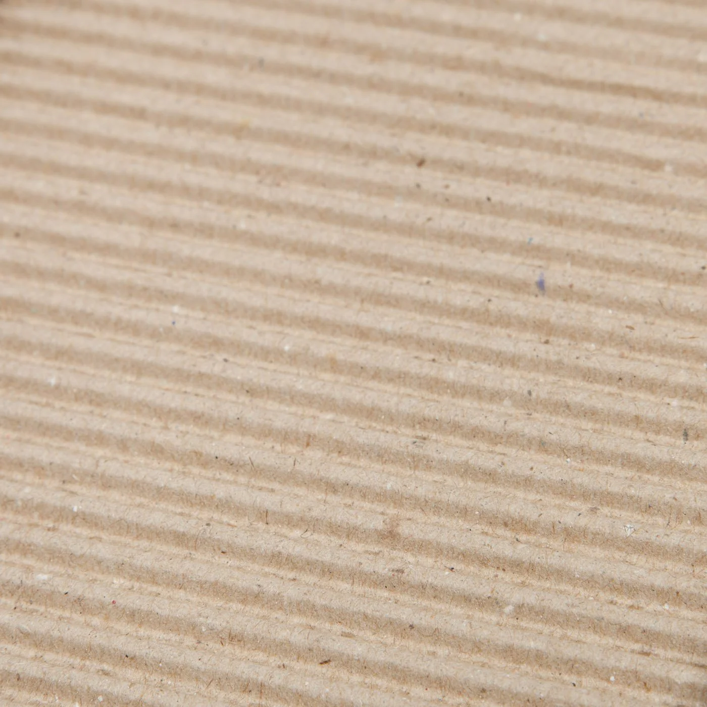 Cat Scratcher Pad - Image 6