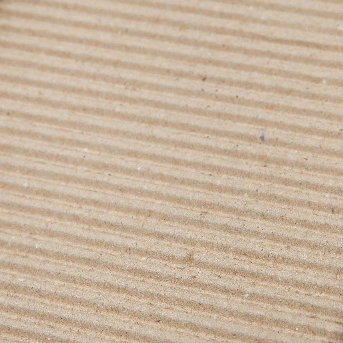 Cat Scratcher Pad - Image 9