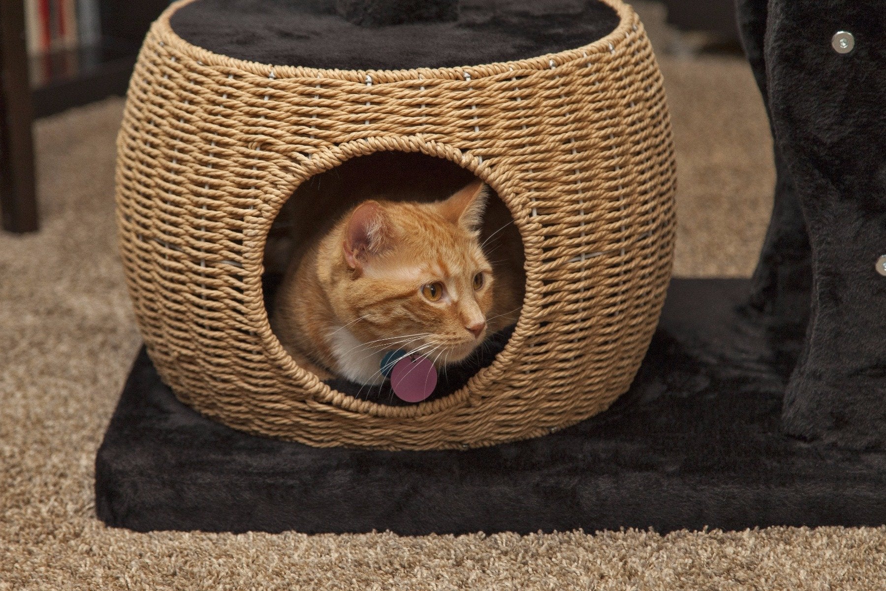 Cat Tree - 3 Tier - Image 15
