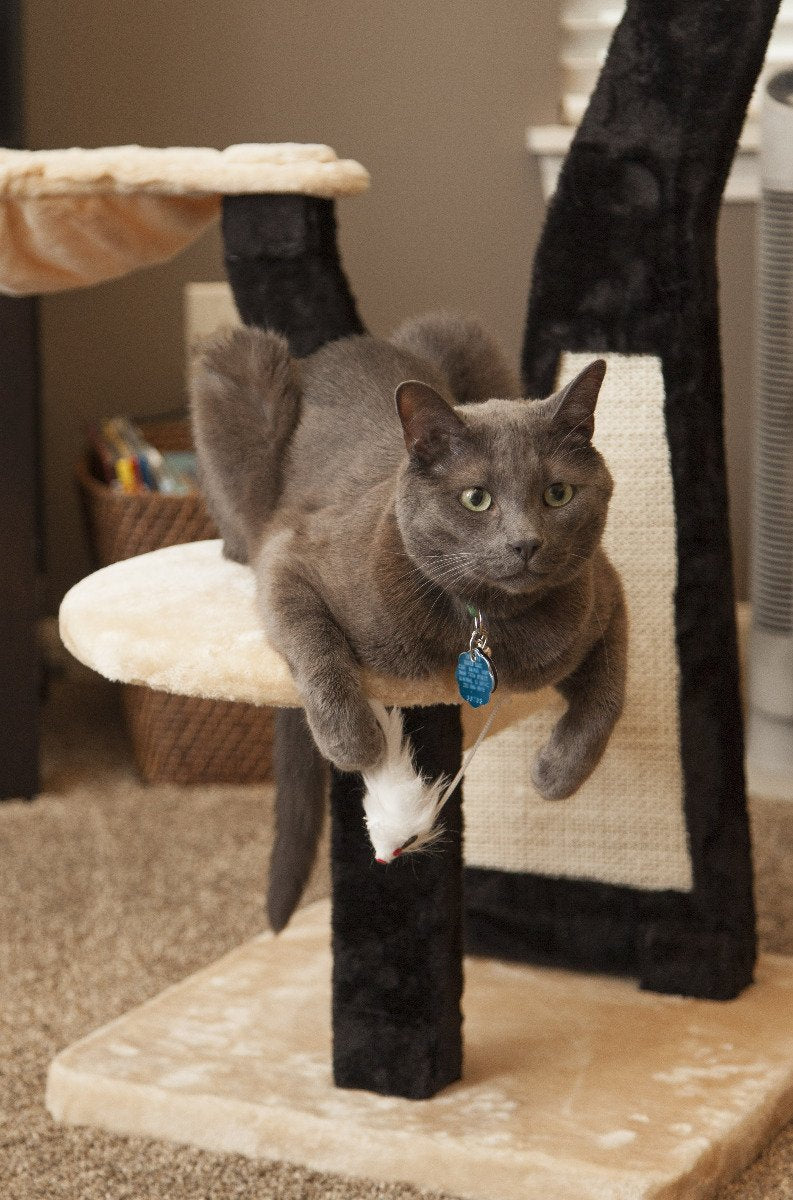 Cat Tree - 3 Tier - Image 25