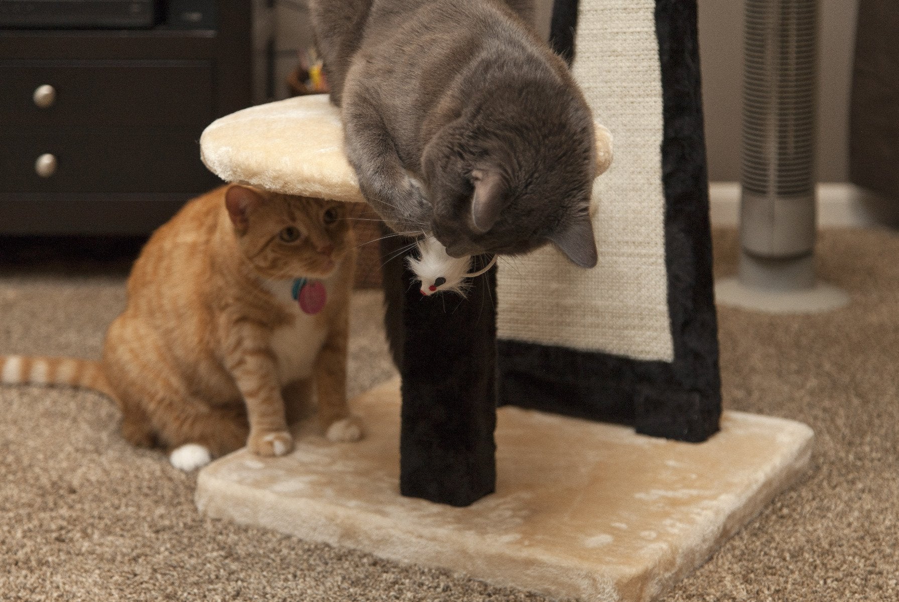 Cat Tree - 3 Tier - Image 26