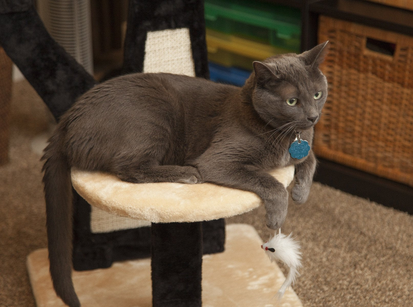 Cat Tree - 3 Tier - Image 27