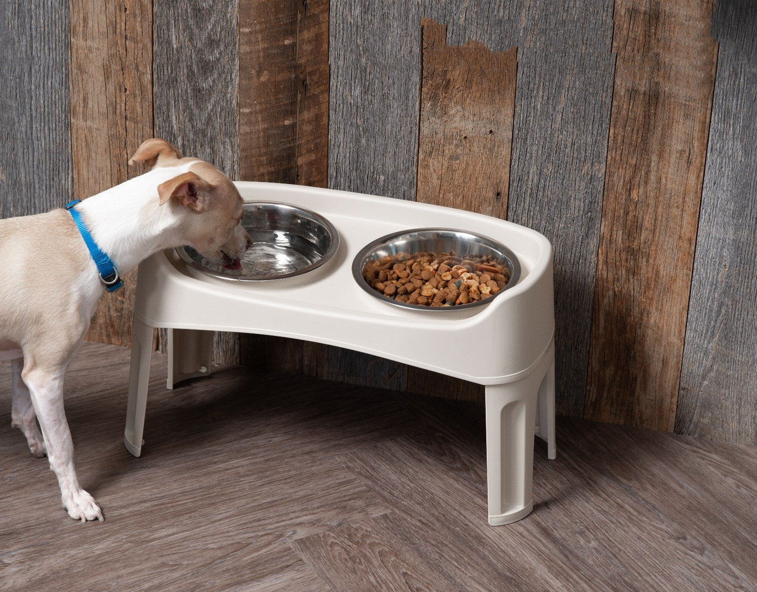 Elevated Feeder - Large - Image 13