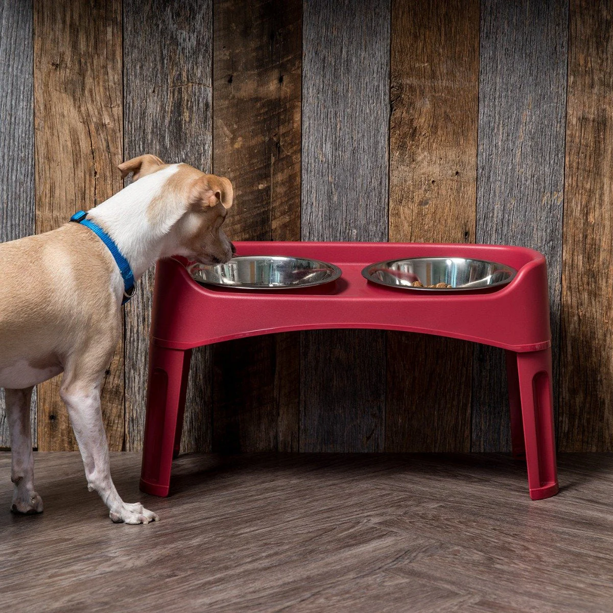 Elevated Feeder - Large - Image 15