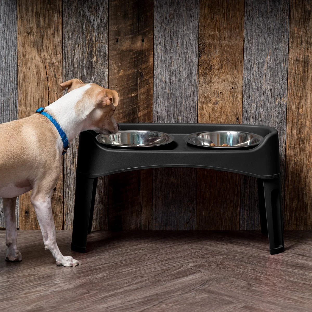 Elevated Feeder - Large - Image 8
