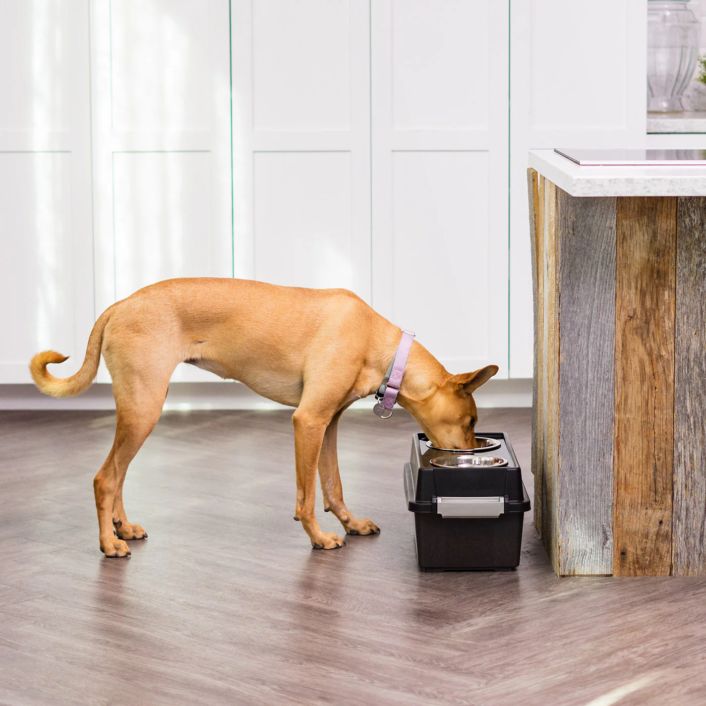 Elevated Feeder with WeatherPro® Airtight Storage - Medium - Image 3