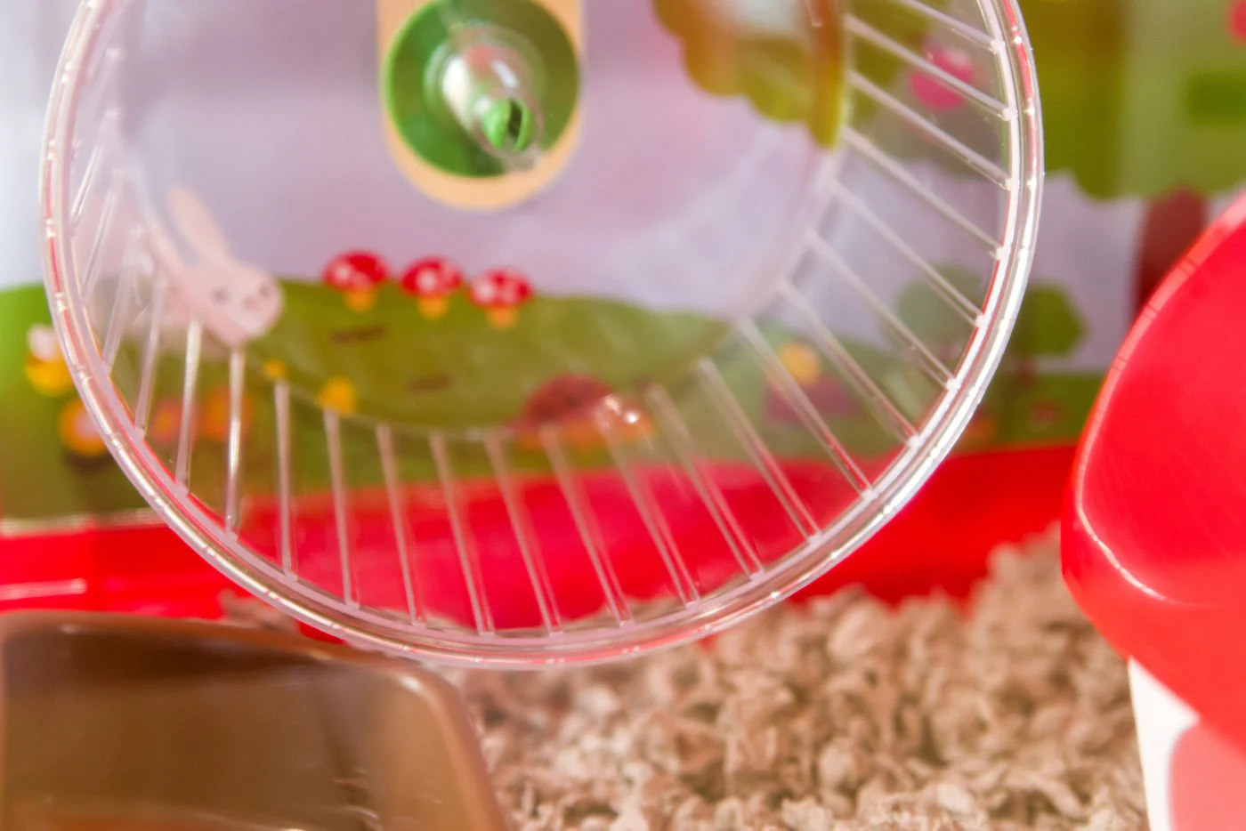 Hamster and Gerbil Cage - 1 Tier - Image 8