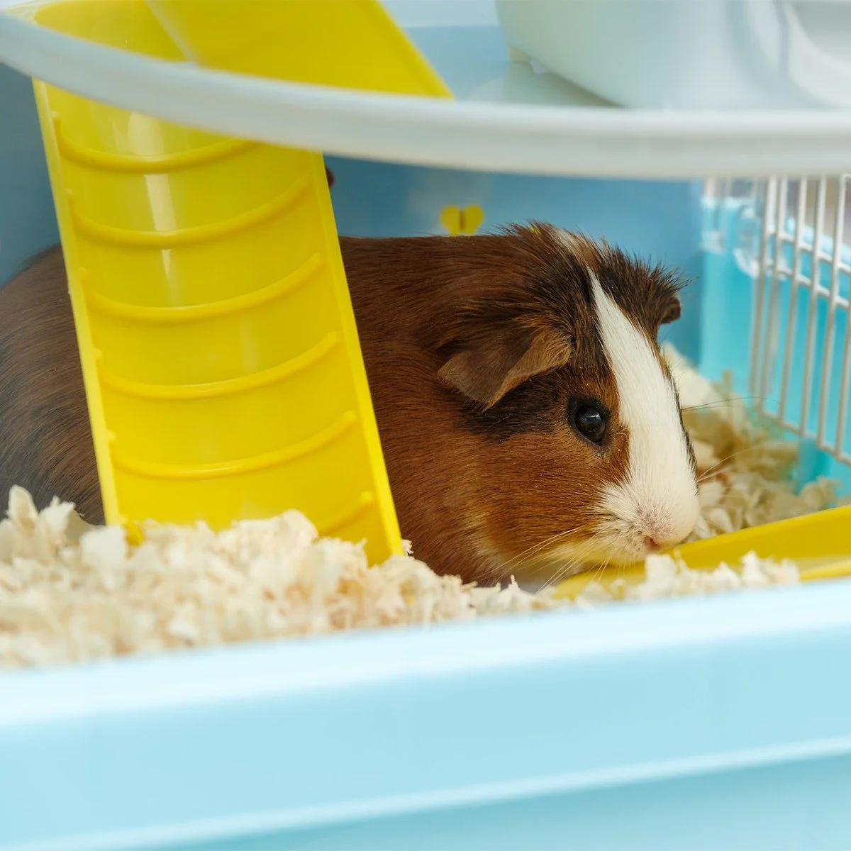 Hamster and Gerbil Cage - 2 Tier - Image 15