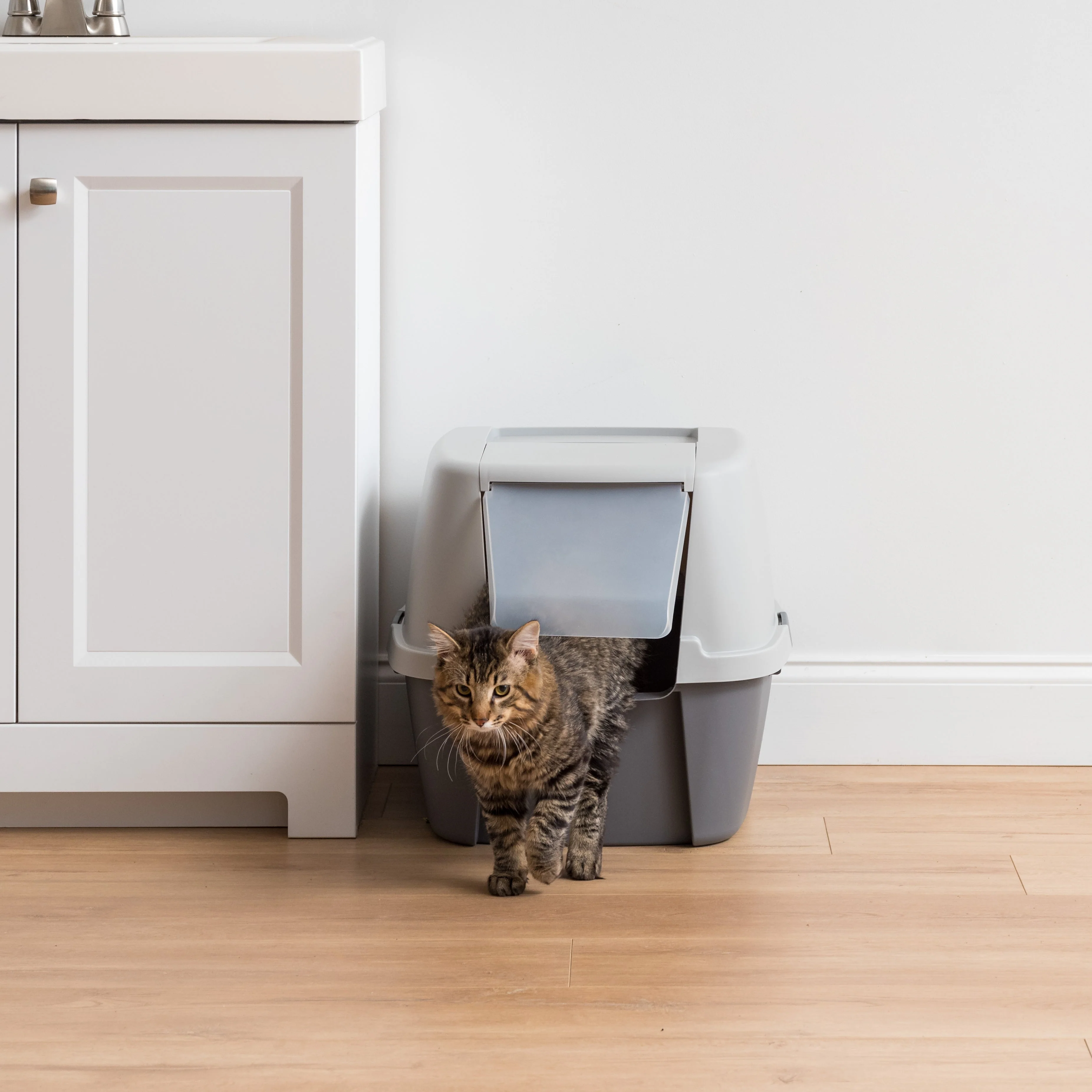 Jumbo Hooded Cat Litter Box with Litter Scoop, Gray - Image 8