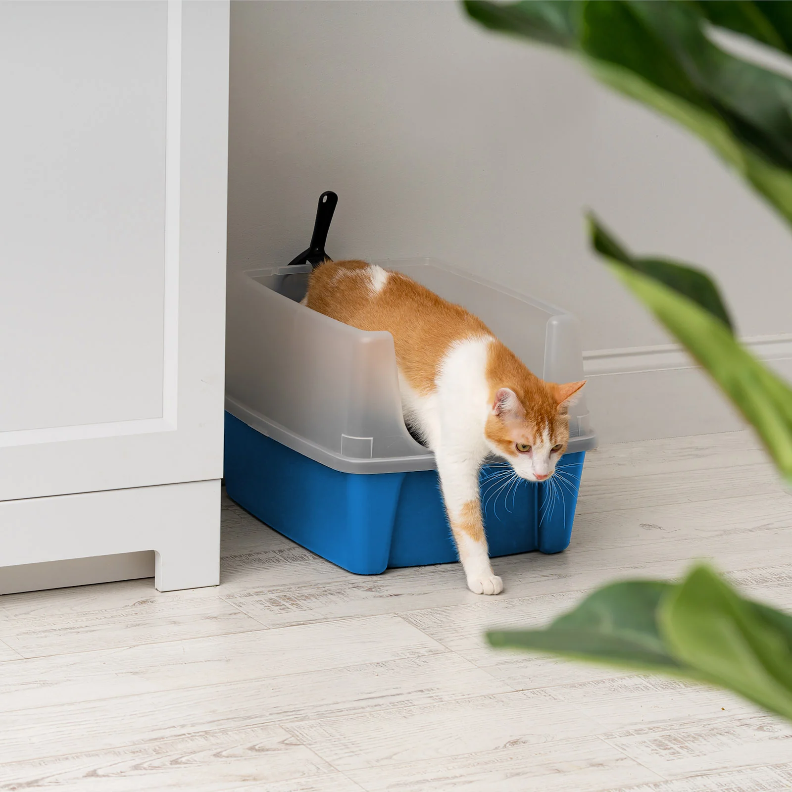 Large Cat Litter Box with Scatter Shield and Scoop, Open Top High Sided Cat Litter Pan, Blue - Image 5