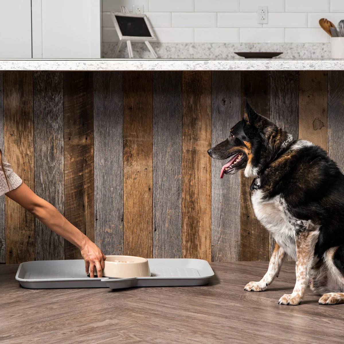 Large "FEED ME" Feeding Mat for Dog or Cat, Light Gray - Image 6