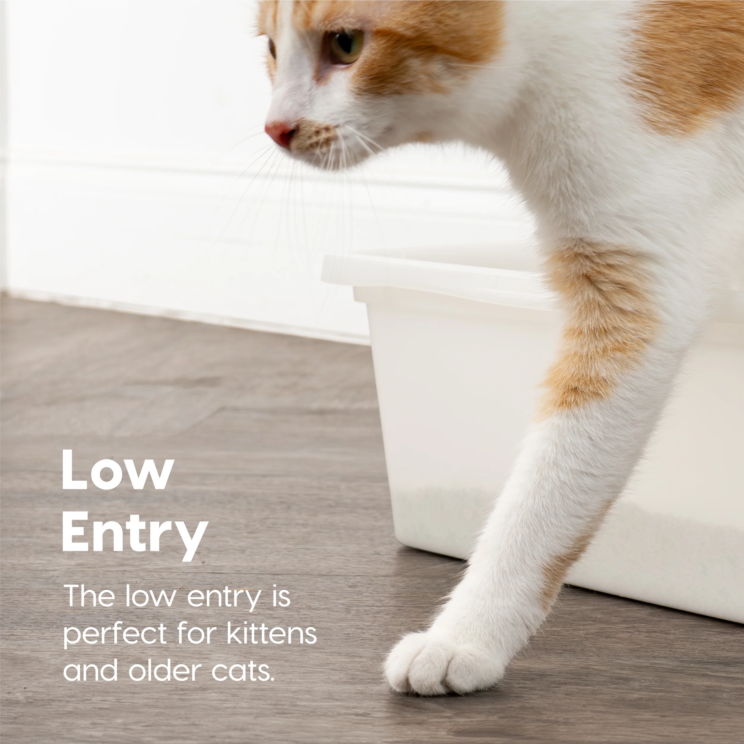 Large Open Top Cat Litter Tray - Image 5
