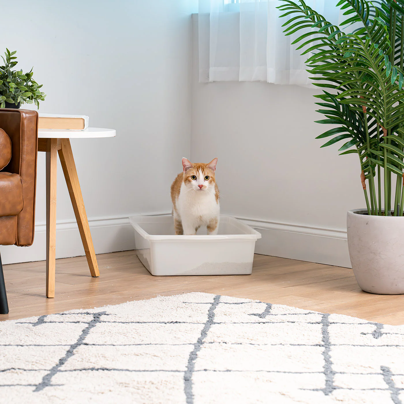 Large Open Top Cat Litter Tray - Image 7