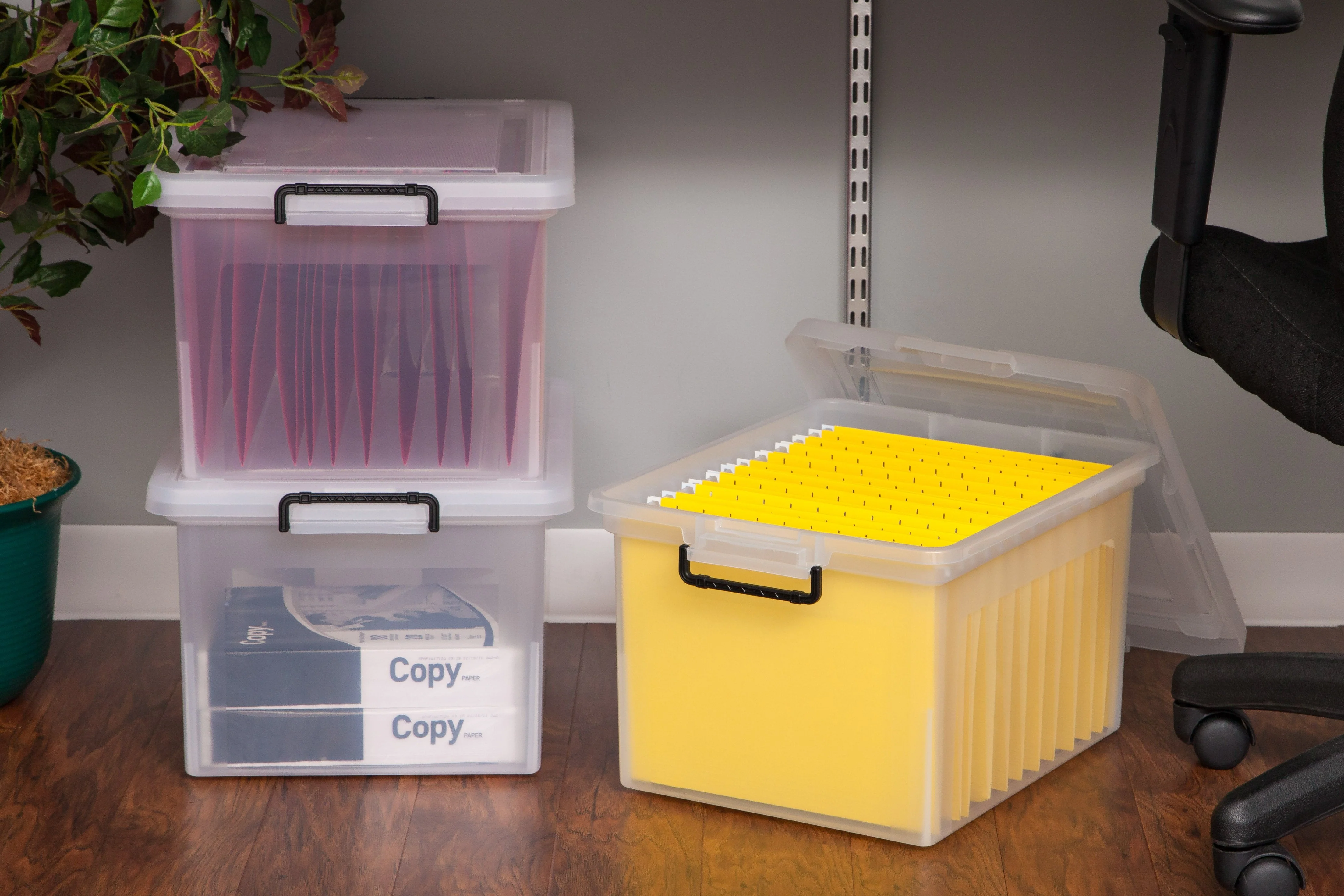 Letter and Legal Buckle File Box - Image 6