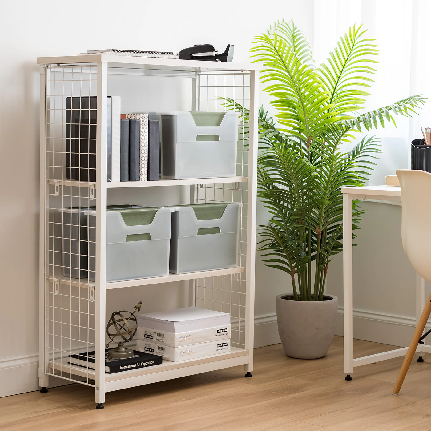 Open Lid File Box - Image 4