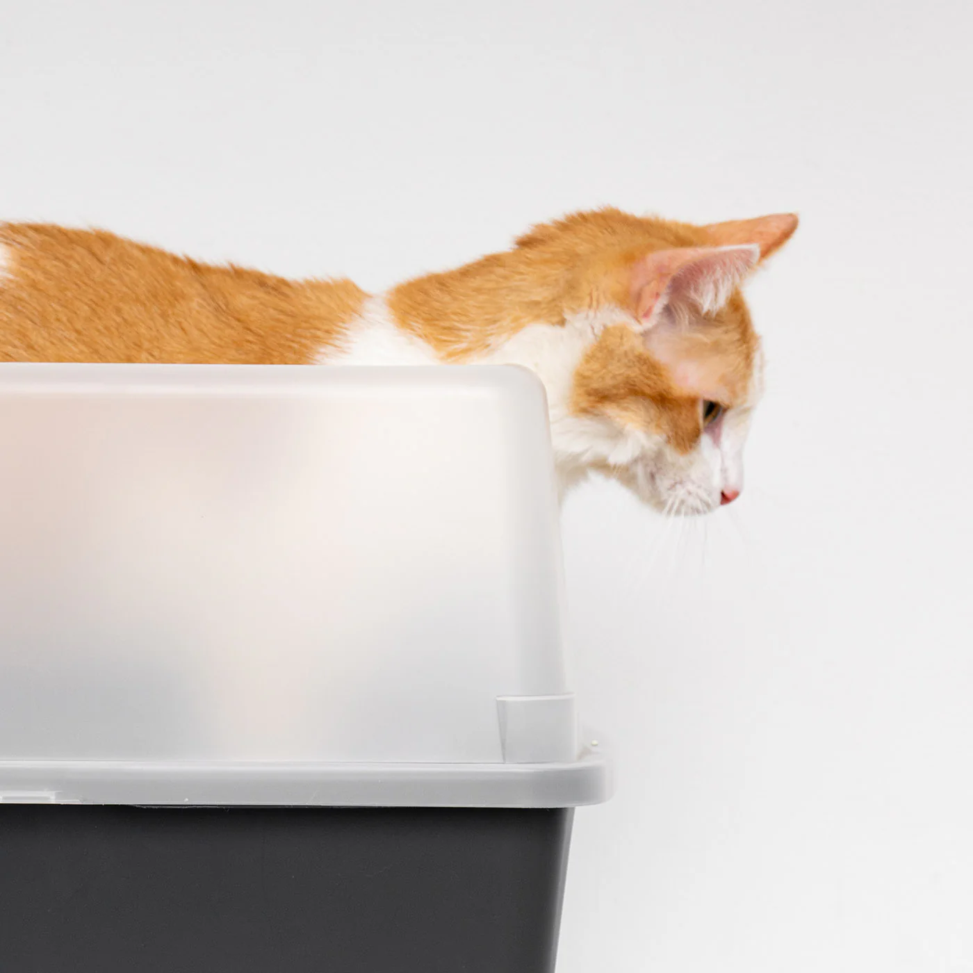 Open-Top Cat Litter Box with Shield and Scoop - Image 2
