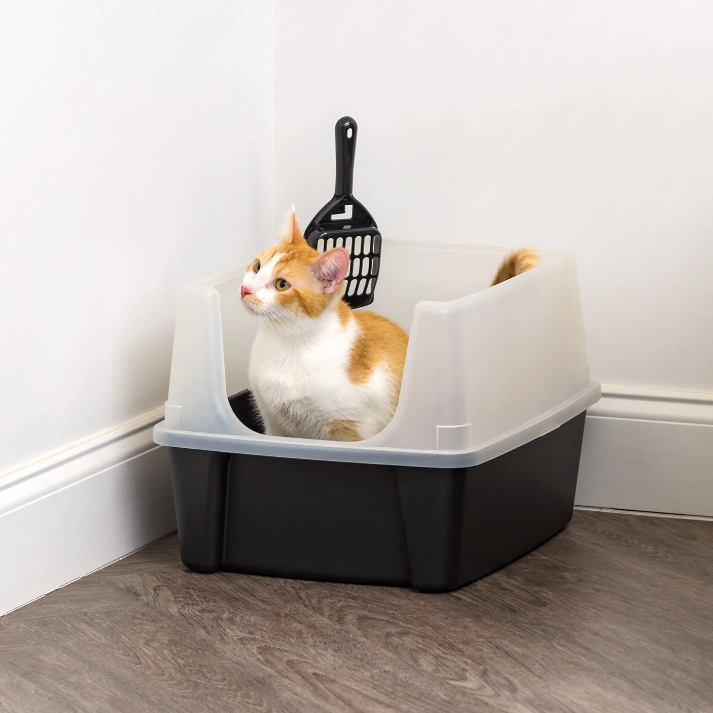 Open-Top Cat Litter Box with Shield and Scoop - Image 4