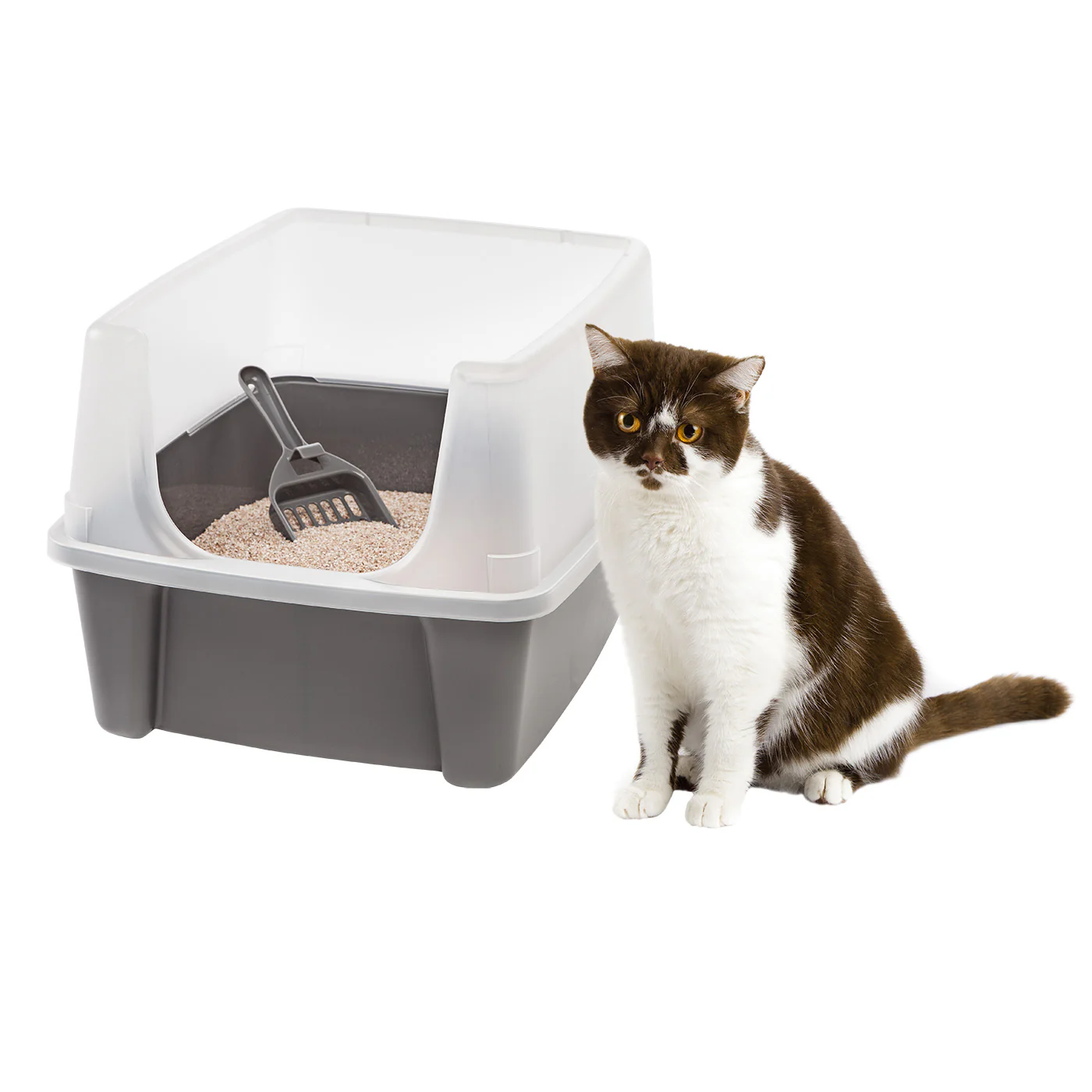 Open-Top Cat Litter Box with Shield and Scoop - Image 7