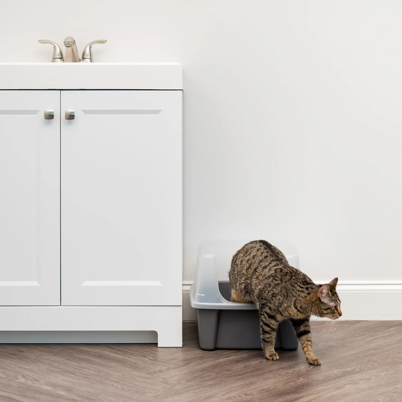 Open-Top Cat Litter Box with Shield and Scoop - Image 8