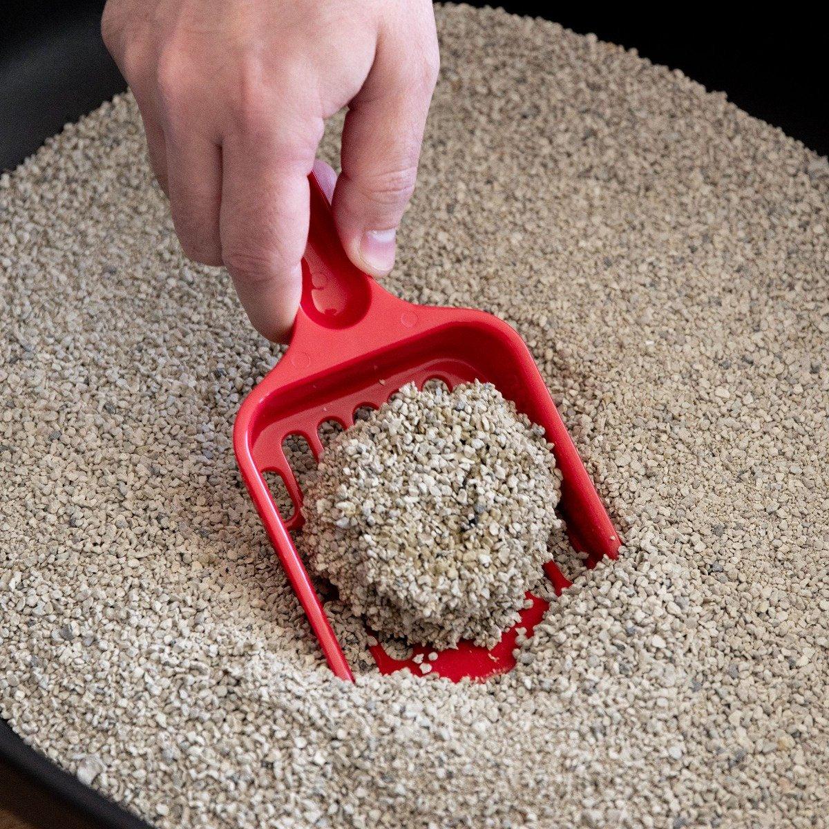 Open-Top Cat Litter Oval Pan - Image 14