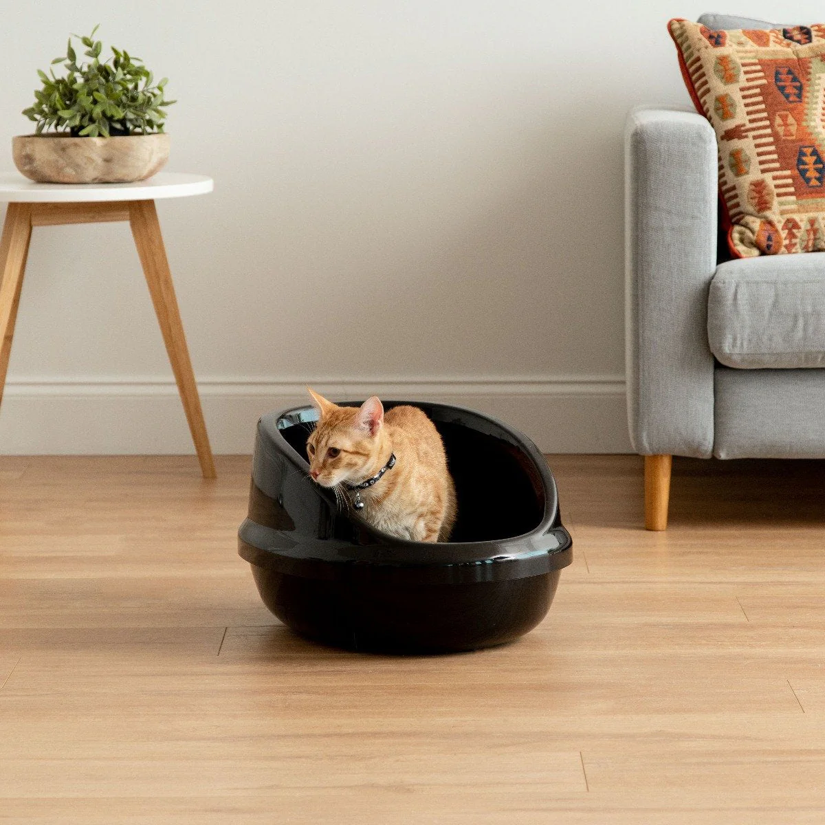 Open-Top Cat Litter Oval Pan - Image 16