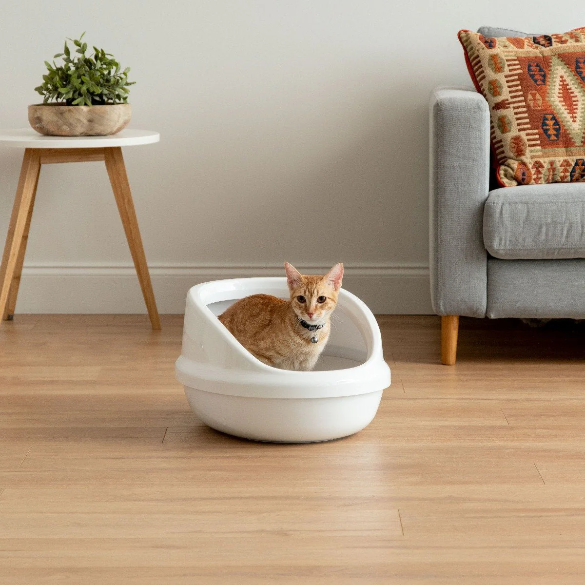 Open-Top Cat Litter Oval Pan - Image 9