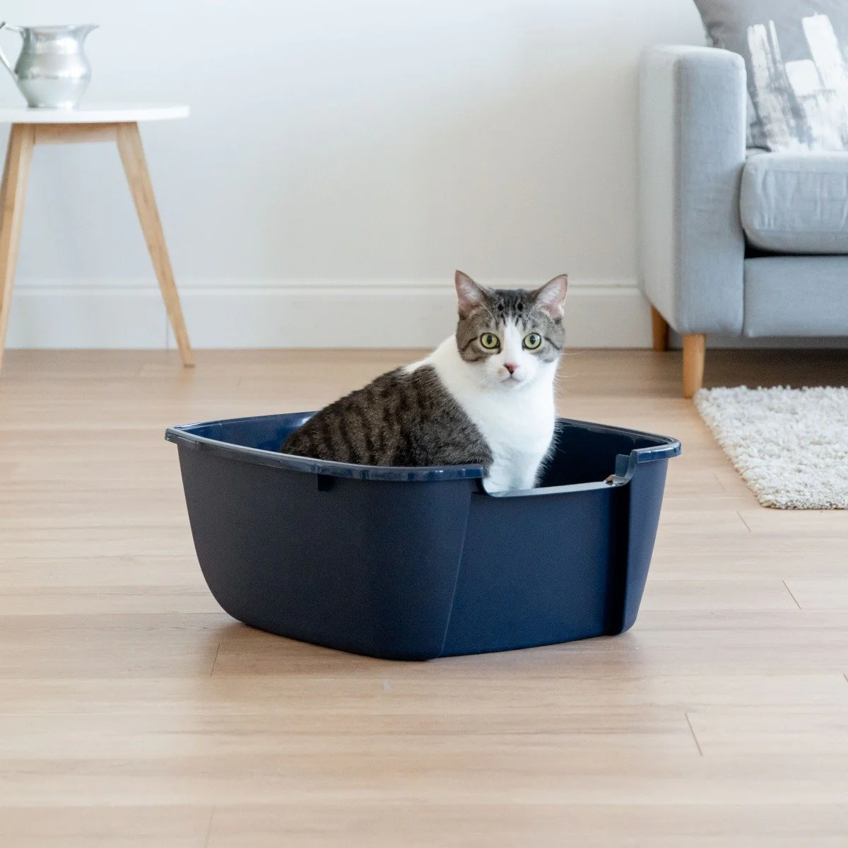 Open-Top Cat Litter Pan - Jumbo - Image 3